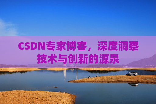 CSDN专家博客，深度洞察技术与创新的源泉